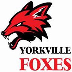 yorkville-foxes-1536715929.jpg